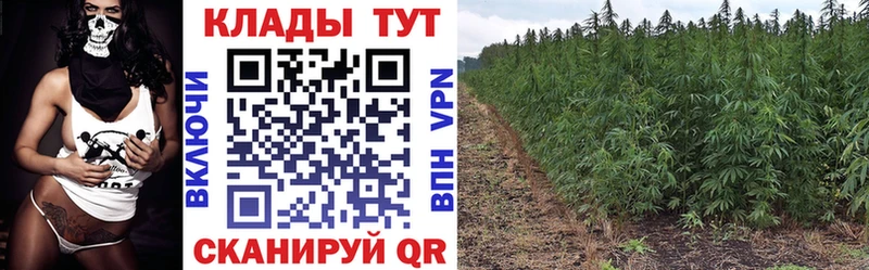 Где найти наркотики Отрадное ГАШ A-PVP Меф мяу мяу Канабис Cocaine
