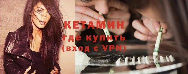 твердый Ладушкин