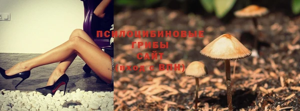 твердый Ладушкин