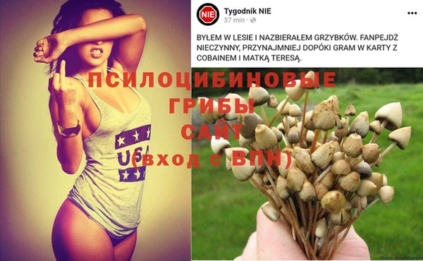 твердый Ладушкин