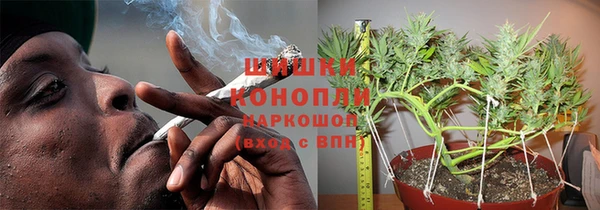 твердый Ладушкин
