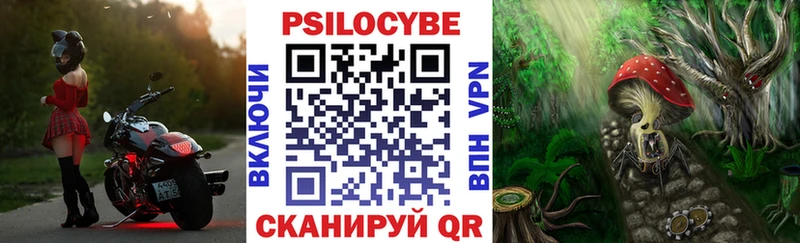 блэк спрут ссылки Отрадное Галлюциногенные грибы ЛСД купить цена
